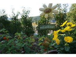 Bild zur gratis inserierten Ferienwohnung Ferienwohnung-2087669.