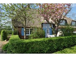 Bild zur gratis inserierten Ferienwohnung Ferienhaus-2087981.