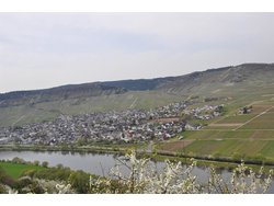 Ferienwohnung Ferienwohnung-2088308 in Leiwen - 3 Personen, Hund nicht erlaubt