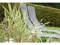 Ferienhaus Ferienhaus-2088326 in Lichtenberg (Landkreis Hof) - 3 Personen, Hund erlaubt