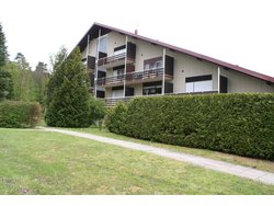 Ferienwohnung Ferienwohnung-2088363 in Ludwigswinkel - 2 Personen, Hund erlaubt