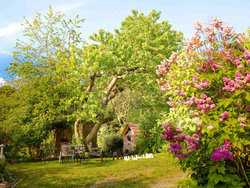 Ferienwohnung Ferienwohnung-2088384 in Marktrodach - 4 Personen, Hund erlaubt