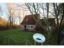 Ferienhaus Ferienhaus-2088482 in Norderfriedrichskoog - 4 Personen, Hund erlaubt
