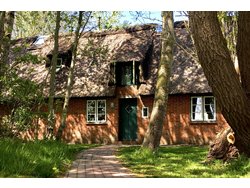 Ferienhaus Ferienhaus-2088497 in Norderfriedrichskoog - 4 Personen, Hund nicht erlaubt