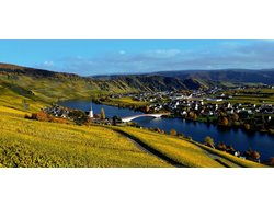 Ferienwohnung Ferienwohnung-2088604 in Piesport - 4 Personen, Hund erlaubt