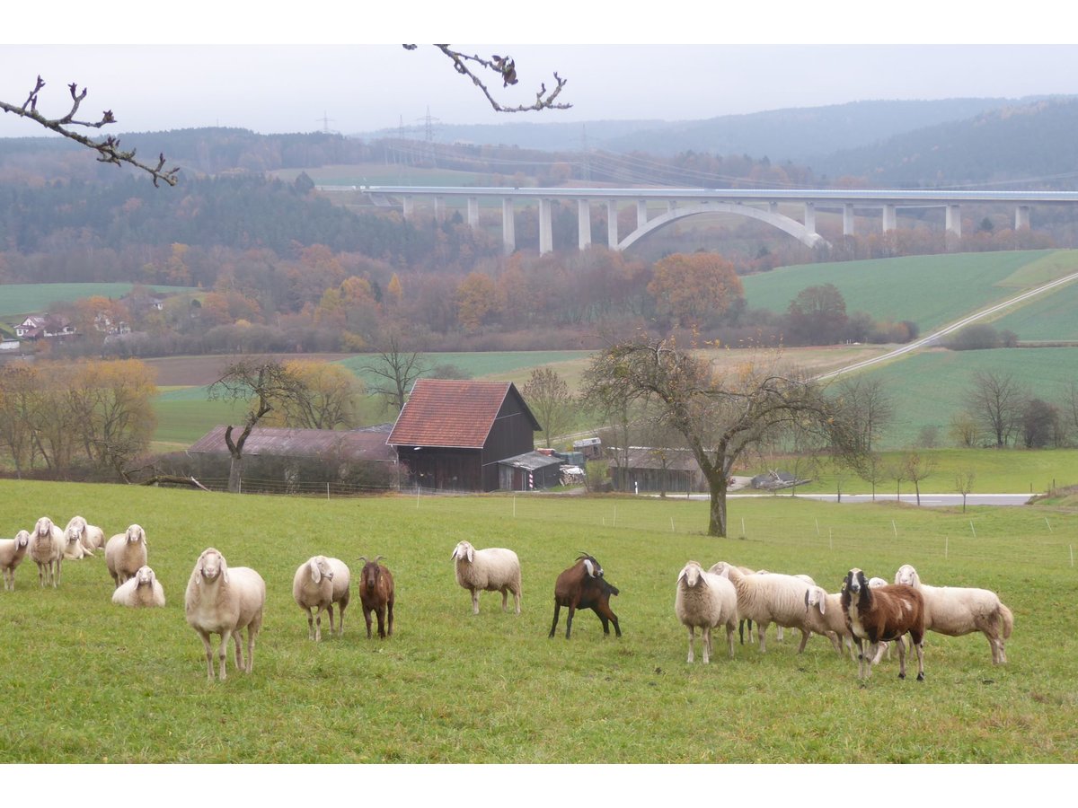 Bild-1