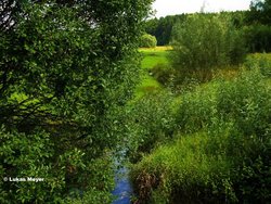 Bild zur gratis inserierten Ferienwohnung Ferienwohnung-2088855.