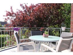 Bild zur gratis inserierten Ferienwohnung Ferienwohnung-2089074.