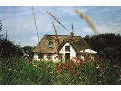 Bild zur gratis inserierten Ferienwohnung Ferienhaus-2089108.