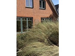 Bild zur gratis inserierten Ferienwohnung Ferienwohnung-2089150.