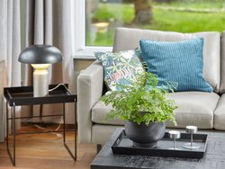 Bild zur gratis inserierten Ferienwohnung Ferienwohnung-2089238.