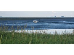 Bild zur gratis inserierten Ferienwohnung Ferienwohnung-2089407.