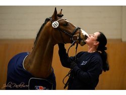 Bild zur gratis inserierten Ferienwohnung Ferienwohnung-2089806.