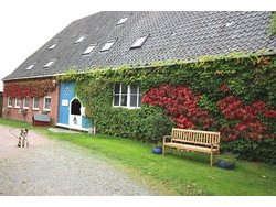 Ferienwohnung Ferienwohnung-2090283 in Tetenbüll - 6 Personen, Hund erlaubt