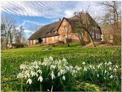 Ferienwohnung Ferienwohnung-2090294 in Tetenbüll - 2 Personen, Hund erlaubt