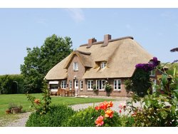 Bild zur gratis inserierten Ferienwohnung Ferienwohnung-2090302.