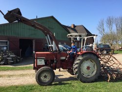 Ferienwohnung Ferienwohnung-2090467 in Tümlauer Koog - 5 Personen, Hund erlaubt