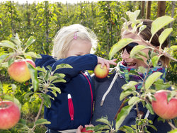 Bild zur gratis inserierten Ferienwohnung Ferienwohnung-2090475.