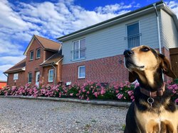 Ferienwohnung Ferienwohnung-2090561 in Vollerwiek - 3 Personen, Hund erlaubt