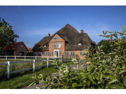 Bild zur gratis inserierten Ferienwohnung Ferienwohnung-2090569.