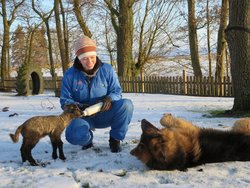 Ferienwohnung Ferienwohnung-2090577 in Vollerwiek - 6 Personen, Hund nicht erlaubt