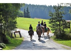 Bild zur gratis inserierten Ferienwohnung Ferienwohnung-2090603.