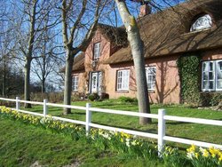 Bild zur gratis inserierten Ferienwohnung Ferienwohnung-2090634.