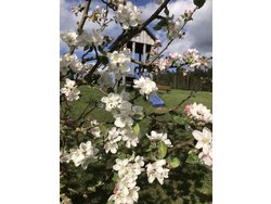 Ferienwohnung Ferienwohnung-2090865 in Wunsiedel - 3 Personen, Hund nicht erlaubt