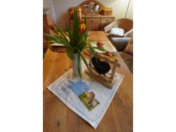 Bild zur gratis inserierten Ferienwohnung Ferienwohnung-2091248.