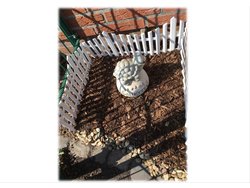 Bild zur gratis inserierten Ferienwohnung Ferienwohnung-2091390.