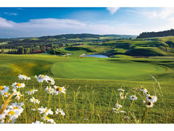 Ferienwohnung Ferienwohnung-2092028 in Bad Birnbach - 2 Personen, Hund erlaubt