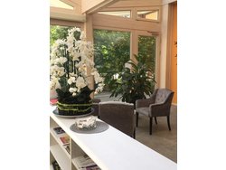 Bild zur gratis inserierten Ferienwohnung Ferienwohnung-2092279.