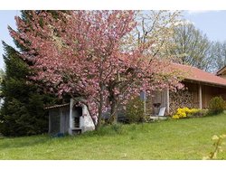 Bild zur gratis inserierten Ferienwohnung Ferienhaus-2092403.