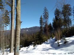 Ferienhaus Ferienhaus-2092450 in Bayerisch Eisenstein - 8 Personen, Hund erlaubt