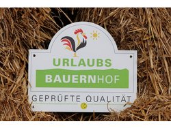 Ferienwohnung Ferienwohnung-2092484 in Böbrach - 4 Personen, Hund erlaubt