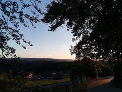 Ferienwohnung Ferienwohnung-2092491 in Böbrach - 4 Personen, Hund erlaubt