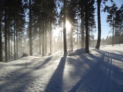 Bild zur gratis inserierten Ferienwohnung Ferienwohnung-2092538.
