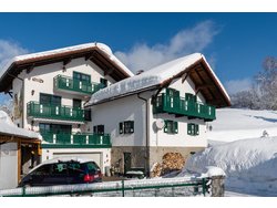 Ferienwohnung Ferienwohnung-2092572 in Bodenmais - 4 Personen, Hund nicht erlaubt