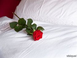 Bild zur gratis inserierten Ferienwohnung Ferienwohnung-2092596.