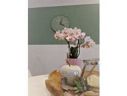 Bild zur gratis inserierten Ferienwohnung Ferienwohnung-2092597.