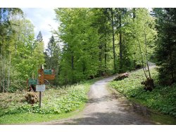 Ferienwohnung Ferienwohnung-2092680 in Frauenau - 4 Personen, Hund erlaubt