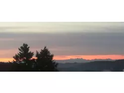 Ferienwohnung Ferienwohnung-2092747 in Grafenau (Landkreis Freyung-Grafenau) - 5 Personen, Hund erlaubt