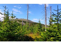 Bild zur gratis inserierten Ferienwohnung Ferienwohnung-2092884.