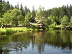 Ferienhaus Ferienhaus-2092967 in Ruhmannsfelden - 4 Personen, Hund nicht erlaubt