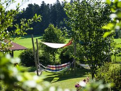 Bild zur gratis inserierten Ferienwohnung Ferienwohnung-2093054.