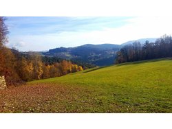 Ferienwohnung Ferienwohnung-2093128 in Viechtach - 5 Personen, Hund nicht erlaubt