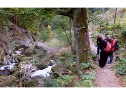 Ferienwohnung Ferienwohnung-2093175 in Witzmannsberg - 7 Personen, Hund nicht erlaubt