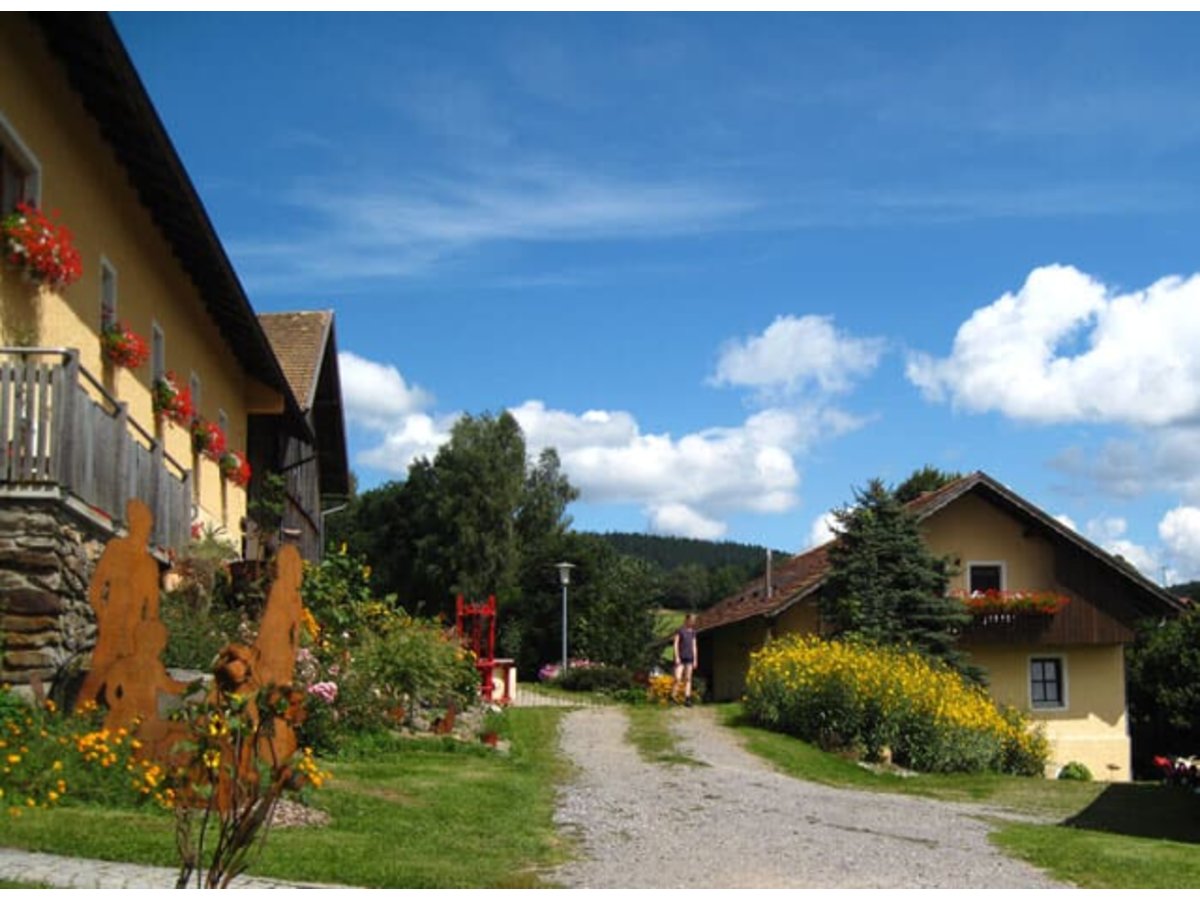 7. Bild Bild-7