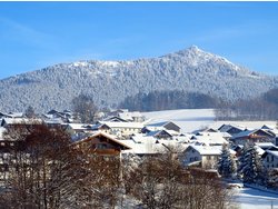 Ferienwohnung Ferienwohnung-2093392 in Lam - 2 Personen, Hund erlaubt