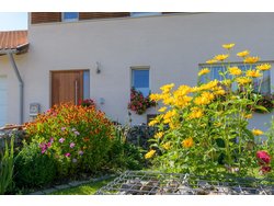 Bild zur gratis inserierten Ferienwohnung Ferienwohnung-2093455.